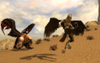 Guild Wars Nightfall, harpy_fourm058.jpg