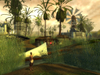 Guild Wars Nightfall, springs009.jpg