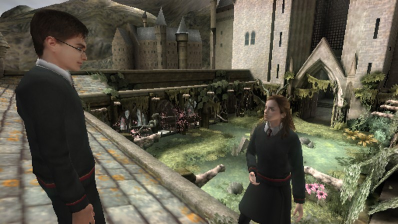 Harry Potter and the Order of the Phoenix (Wii)