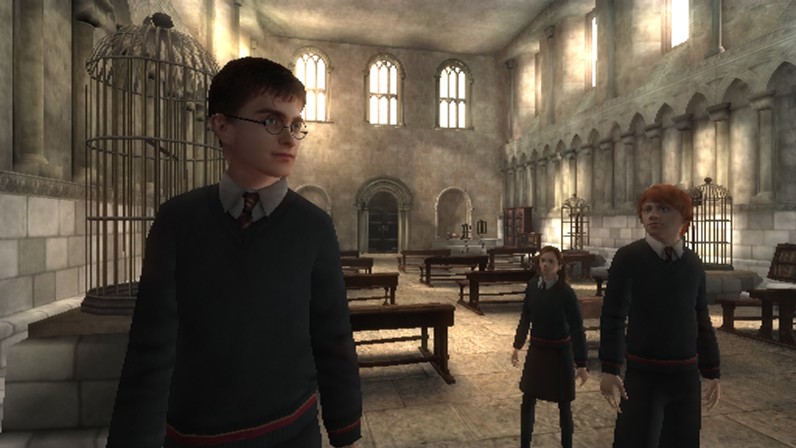 Harry Potter and the Order of the Phoenix (Wii)