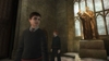 Harry Potter and the Order of the Phoenix (Wii), hpophwiiscrnentrancehallukeng_w796.jpg