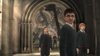 Harry Potter and the Order of the Phoenix (Wii), hpophwiiscrnhrhukeng_w796.jpg