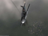 Il-2 Sturmovik: 1946