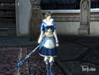 Lineage II, c5_weapons_1.jpg