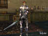 Lineage II, c5_weapons_2.jpg