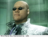 The Matrix: Path of Neo, 10799pon_uk20_copy.jpg