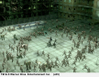 The Matrix: Path of Neo, 10805pon_uk32_copy.jpg