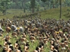 Medieval II: Total War Kingdoms, medieval_ii__kingdoms__expansion_pack__pcscreenshots8126king_americas1_1024.jpg