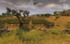 Men of War