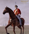 Napoleon: Total War, 20482russian_lifeguard_hussars.jpg
