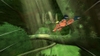 Naruto: Rise of a Ninja, naruto_riseofaninja_x360_08_exclu.jpg