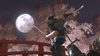 Ninja Gaiden 2, ng2_i02_tif_jpgcopy.jpg