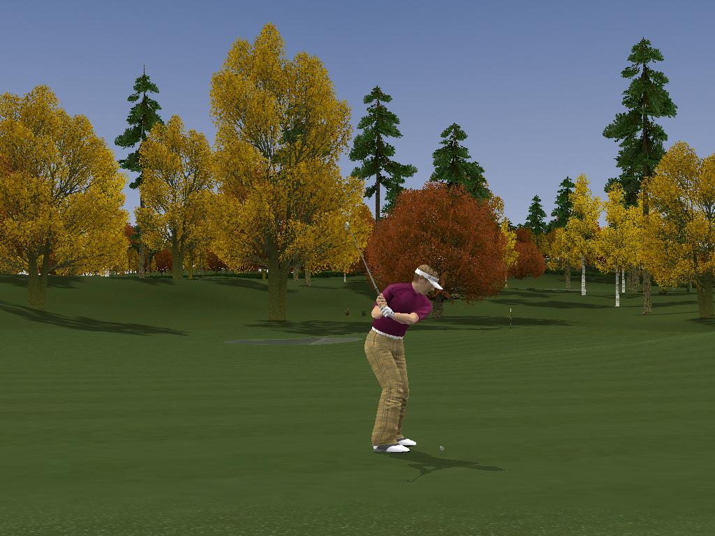 Pro Stroke Golf: World Tour 2007