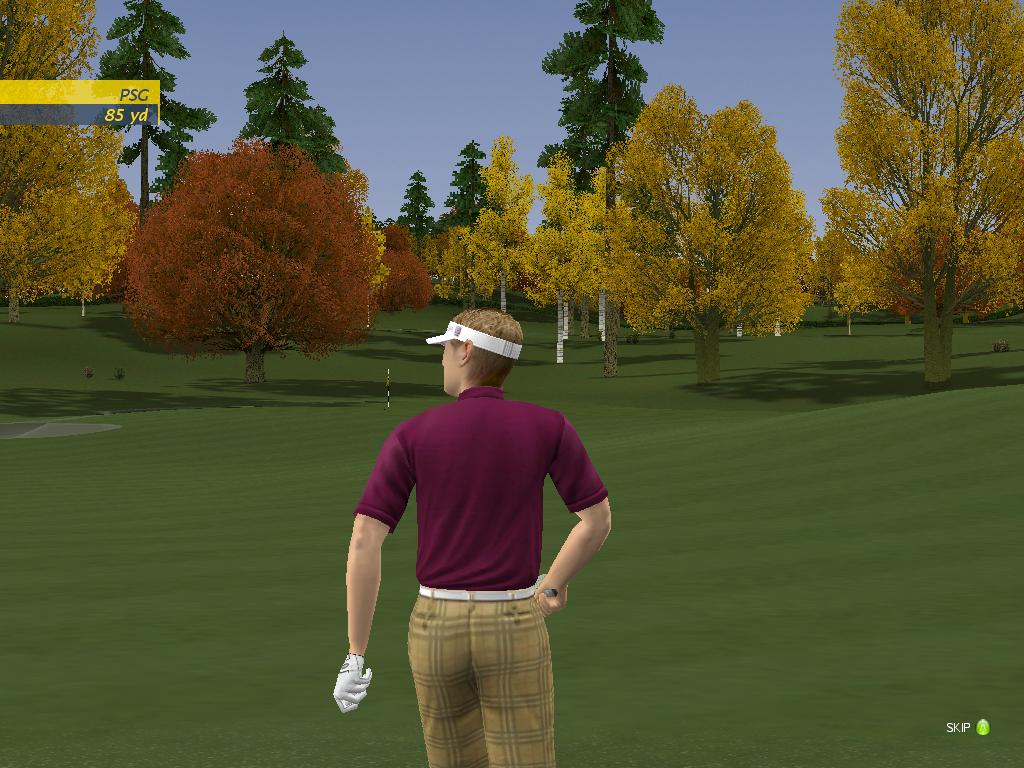 Pro Stroke Golf: World Tour 2007