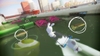 Rabbids Go Home, rgh_e3_miami_jetski.jpg