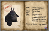 Rayman Raving Rabbids, raymanravingrab_scrn19364.jpg