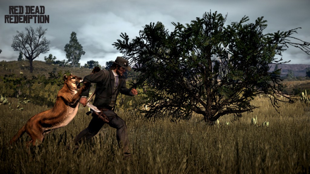 Red Dead Redemption