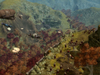 Rise of Nations Rise of Legends