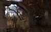 S.T.A.L.K.E.R. Clear Sky, ssq_ilya_05_17_08_13_21_06__red_forest_.jpg