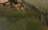Sacred 2 – Fallen Angel, sacred2_r_2008_05_19_10_24_41_71.jpg