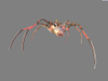 Serious Sam 2, spiderbaby_0001.jpg