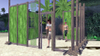 Sims 2 Castaway, screenshot_103.jpg