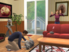 Sims 2 Pets, catdogrubnap3.jpg