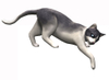 Sims 2 Pets, sims2ppcrendbopcatreach_psd_jpgcopy.jpg