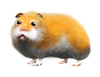 Sims 2 Pets, sims2ppcrendhamster_psd_jpgcopy.jpg