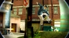 Skate 2, kostonprojects.jpg