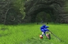 Sonic and the Black Knight, sonic_and_the_black_knight_nintendo_wiiscreenshots15565sbk_oct_00000729.jpg