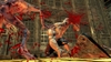 Splatterhouse, 30769004.jpg