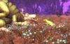 Spore, sporeapp_2008_05_21_18_09_08_59.jpg