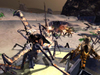 StarshipTroopers