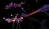 Sword of the Stars: A Murder of Crows, sots_amoc_screen02_morrigi_destroyer_attack.jpg