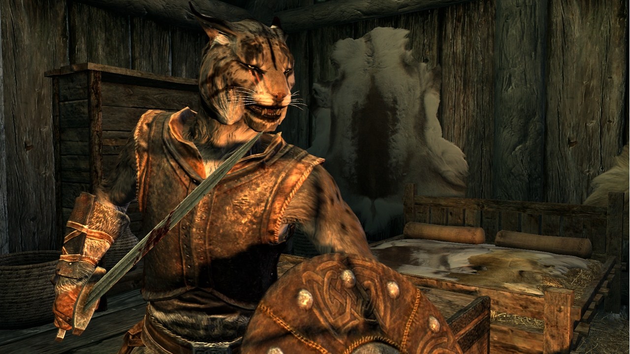 The Elder Scrolls V: Skyrim