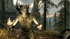 The Elder Scrolls V: Skyrim, 1394argonianmale.jpg