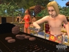 The Sims 2 Seasons, sims2sepcscrnsumbbqbrgflpwm_1024.jpg