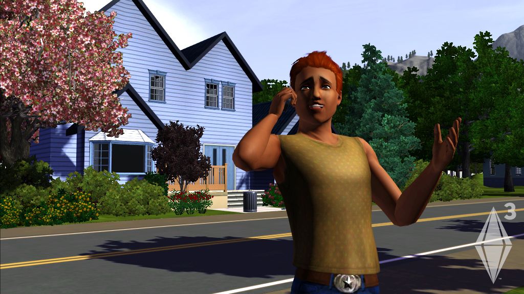 The Sims 3