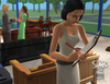 The Sims 2 - Open For Business, sims2obpcscrnfrntrrestockwm.jpg