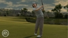 Tiger Woods PGA TOUR 11, tigw11_ng_scrn_rory_mcilroy_celtic_manor3_bmp_jpgcopy.jpg