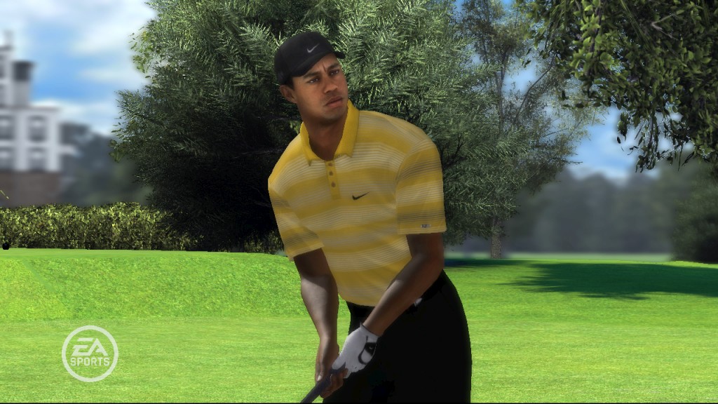 Tiger Woods PGA Tour 08