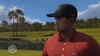 Tiger Woods PGA Tour 09, tigw09ps3scrnsawgrass17green_bmp_jpgcopy.jpg