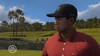 Tiger Woods PGA Tour 09, tigw09x360ps3scrnsawgrass17green.jpg