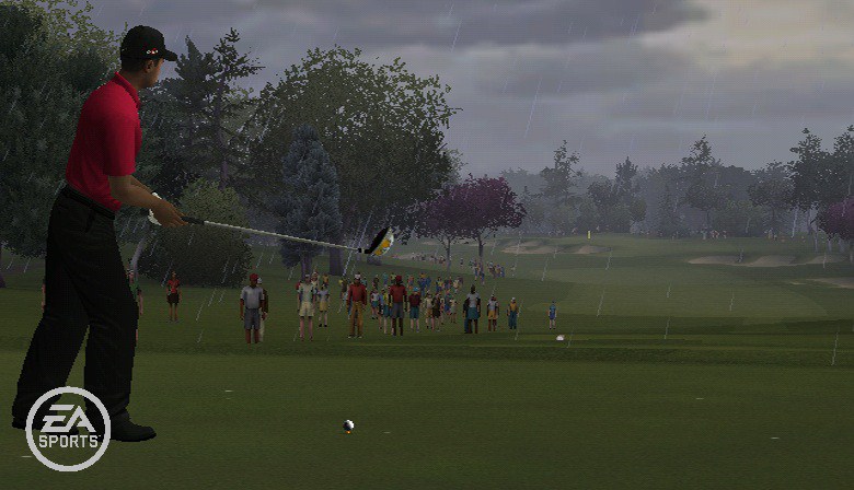 Tiger Woods PGA Tour 10