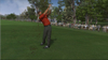 Tiger Woods PGA Tour® 2006, tigw06x360scrndivot.jpg