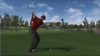 Tiger Woods PGA Tour® 2006, tigw06x360scrntothegreen.jpg