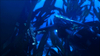 Tomb Raider: Underworld, underwater_7.jpg