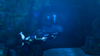 Tomb Raider: Underworld, underwater_guns.jpg