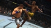 UFC 2009 Undisputed